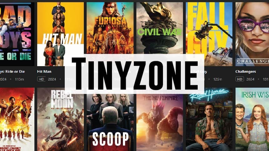 TinyZone banner